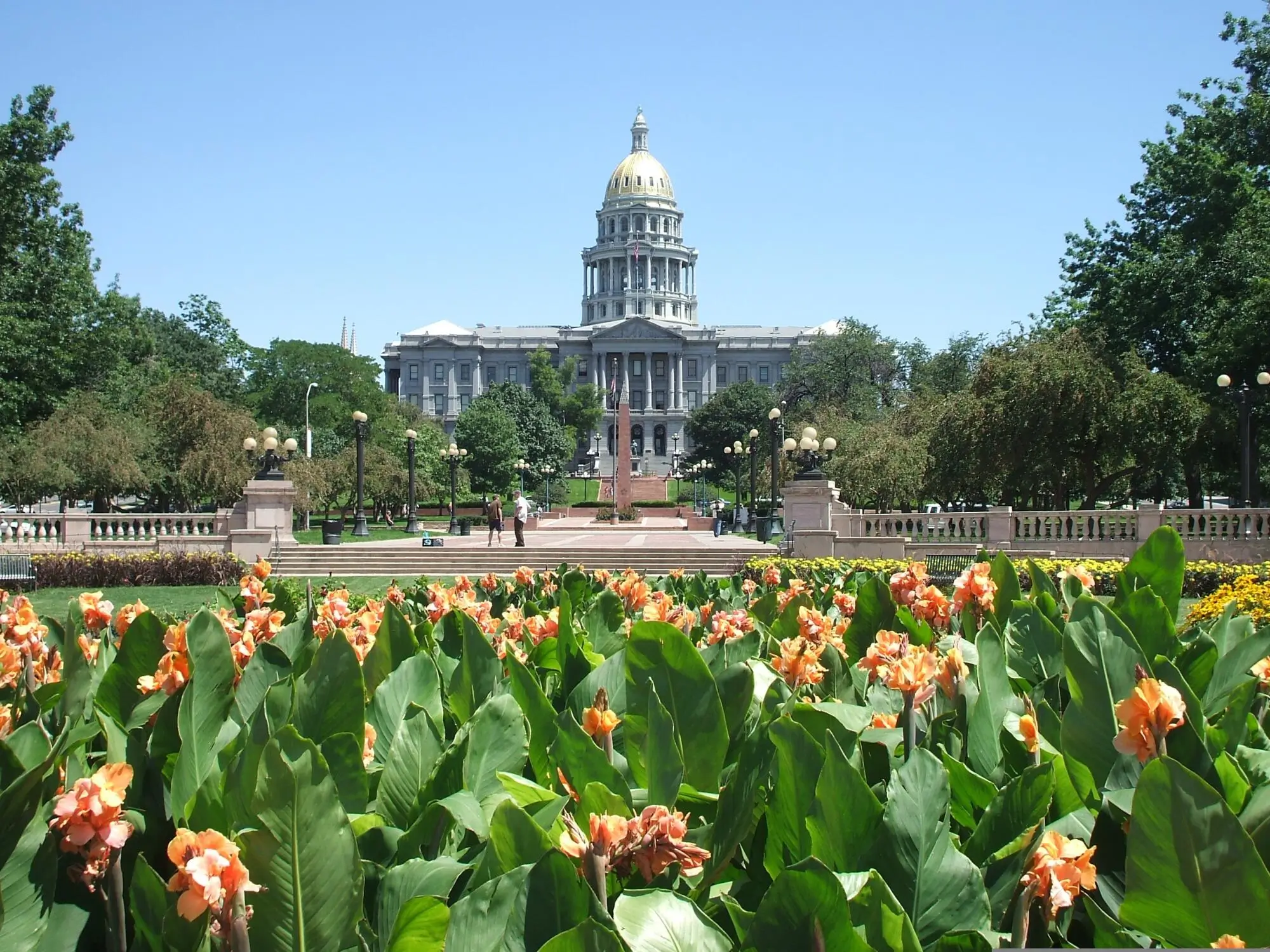 How to Run a Tenant Criminal Background Check in Denver, CO
